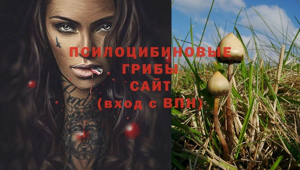прущий лед Аркадак