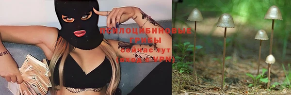 метадон Арсеньев