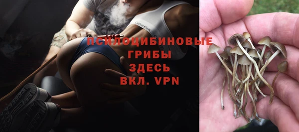 гидра Армянск