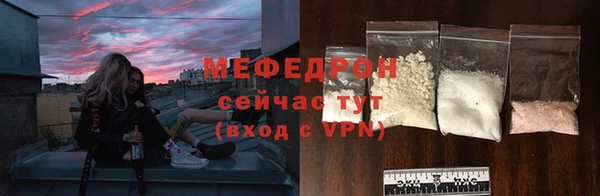 МДПВ Ельня