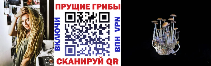 Галлюциногенные грибы ЛСД  Белая Холуница 